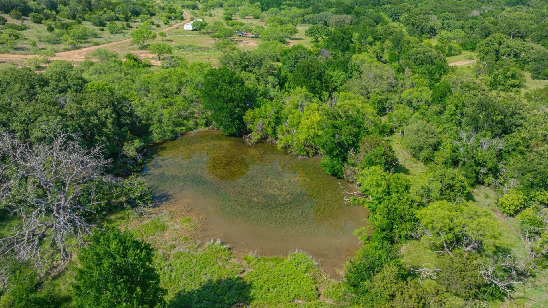 136 Moose Trail Ranger TX 76470