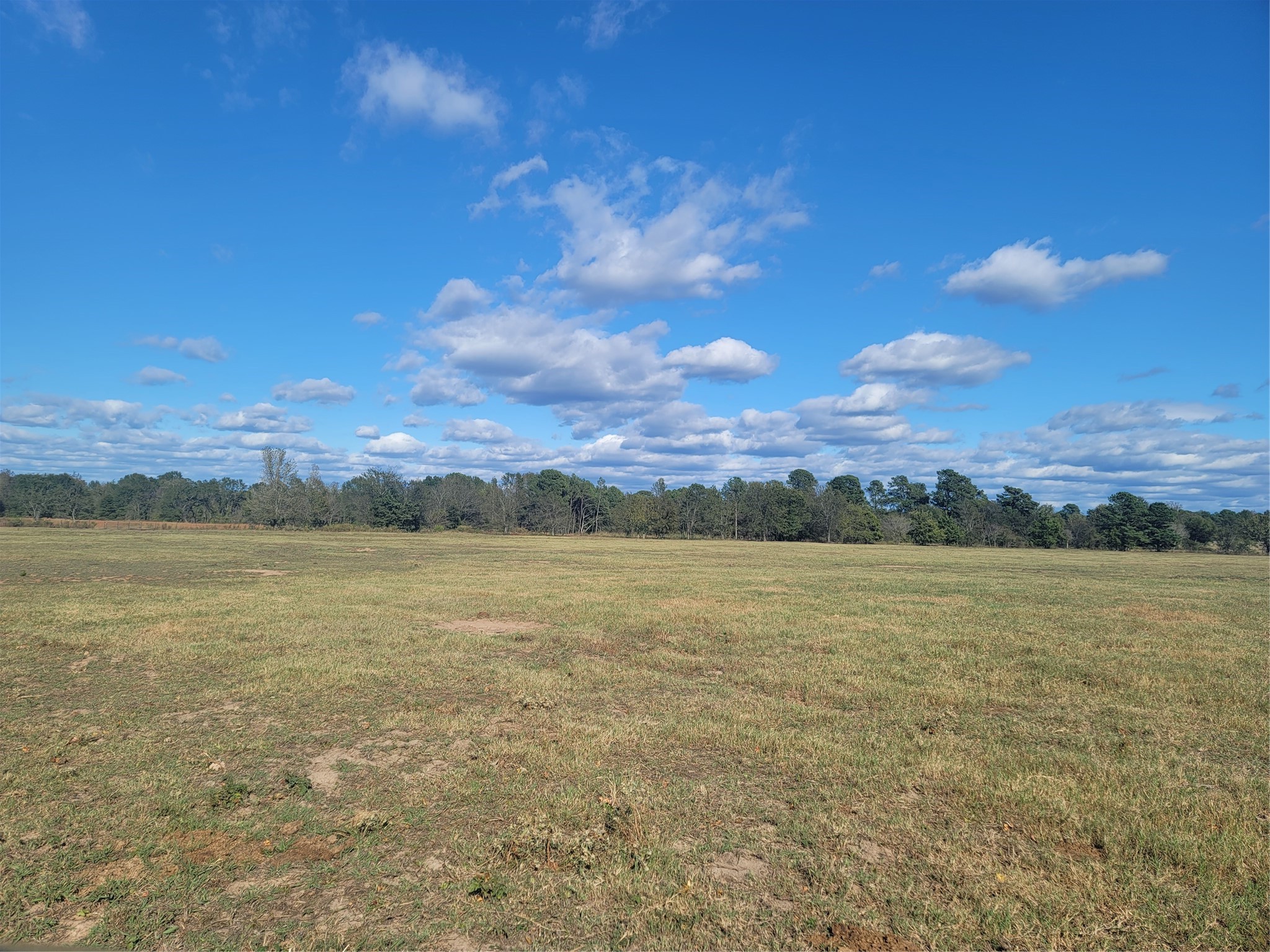 12403 Fm 1975 Gilmer TX 75644