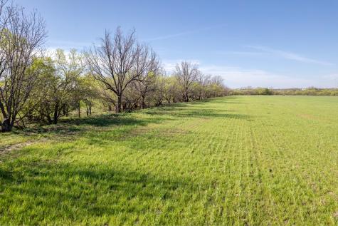 Tbd Old Burket Road Coleman TX 76834