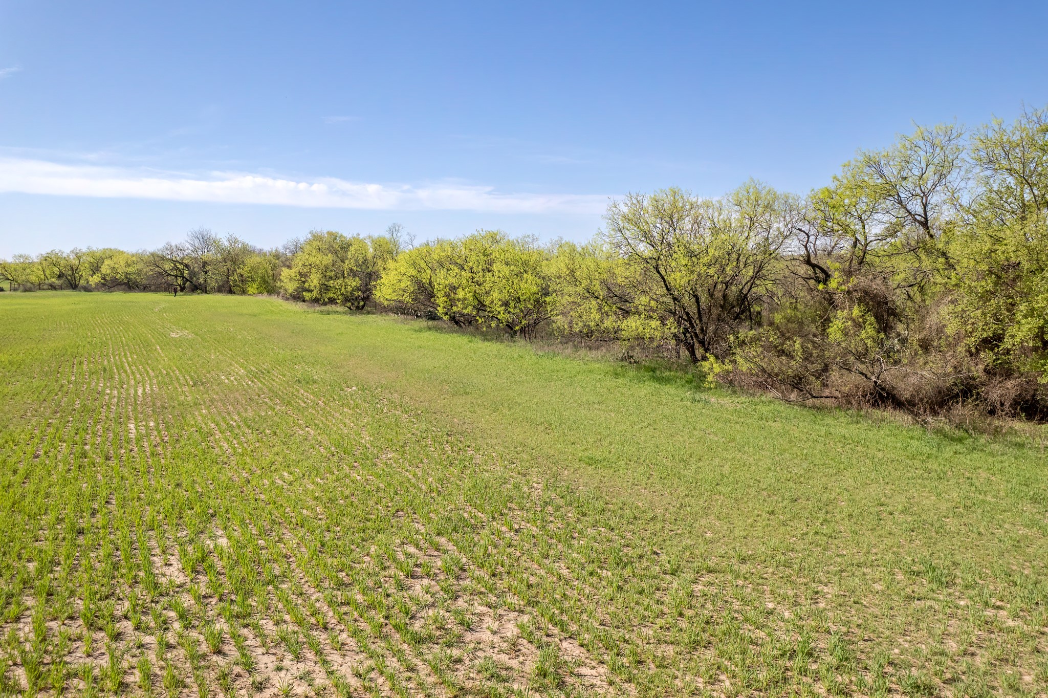 Tbd Old Burket Road Coleman TX 76834