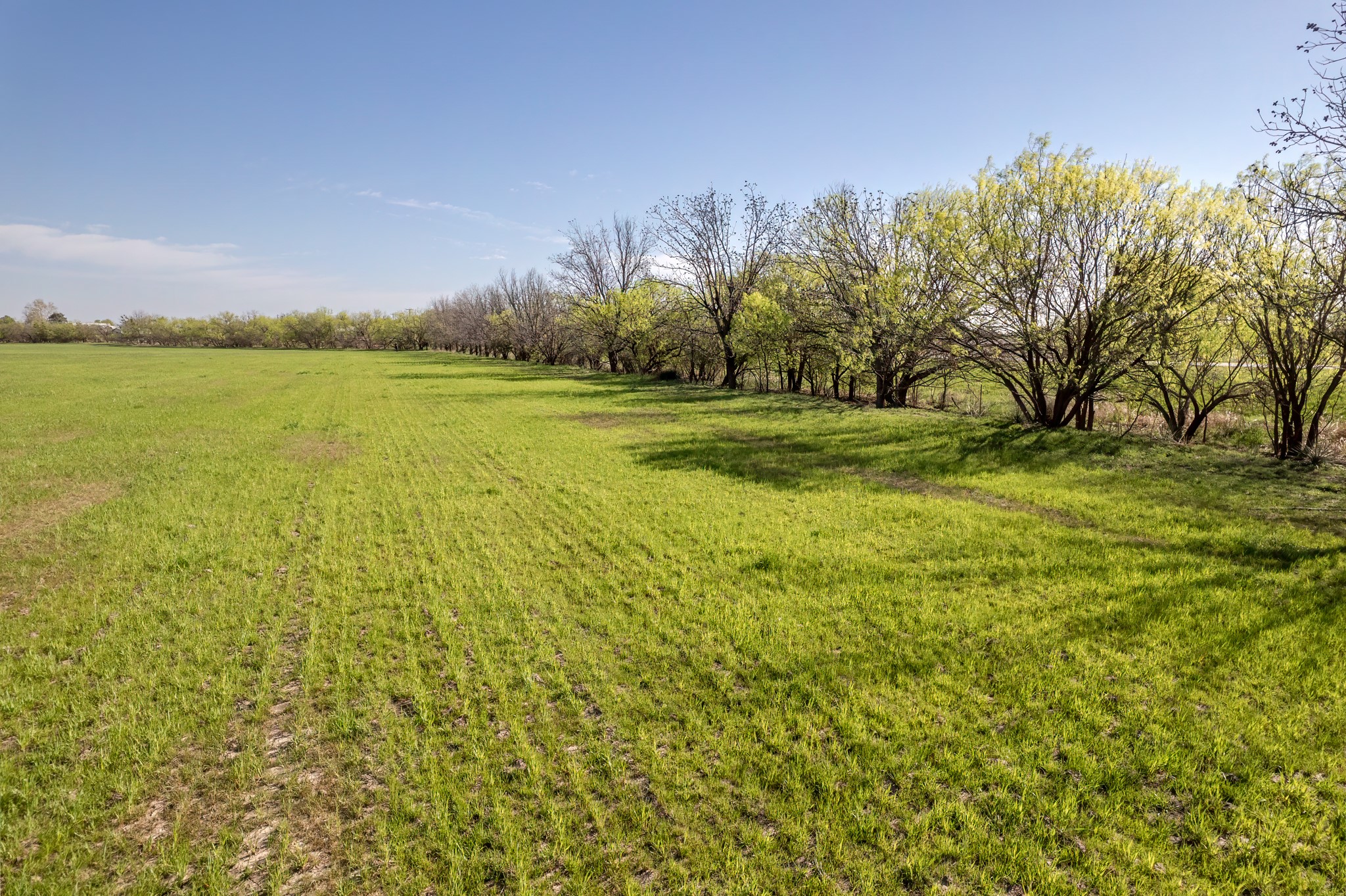 Tbd Old Burket Road Coleman TX 76834