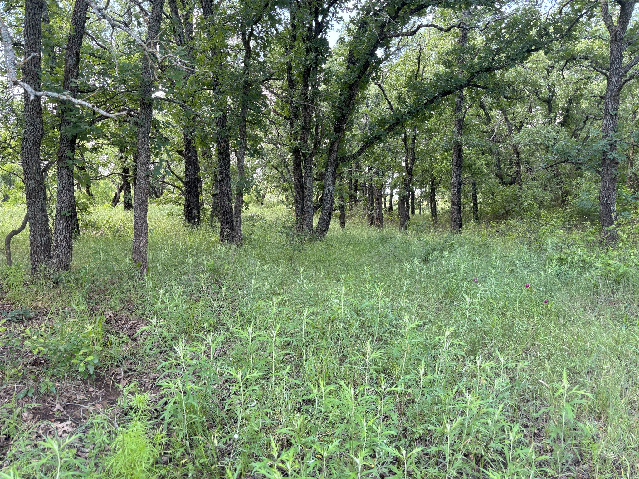 Tbd 0 Tract 1 Sunset Lane Jacksboro TX 76458