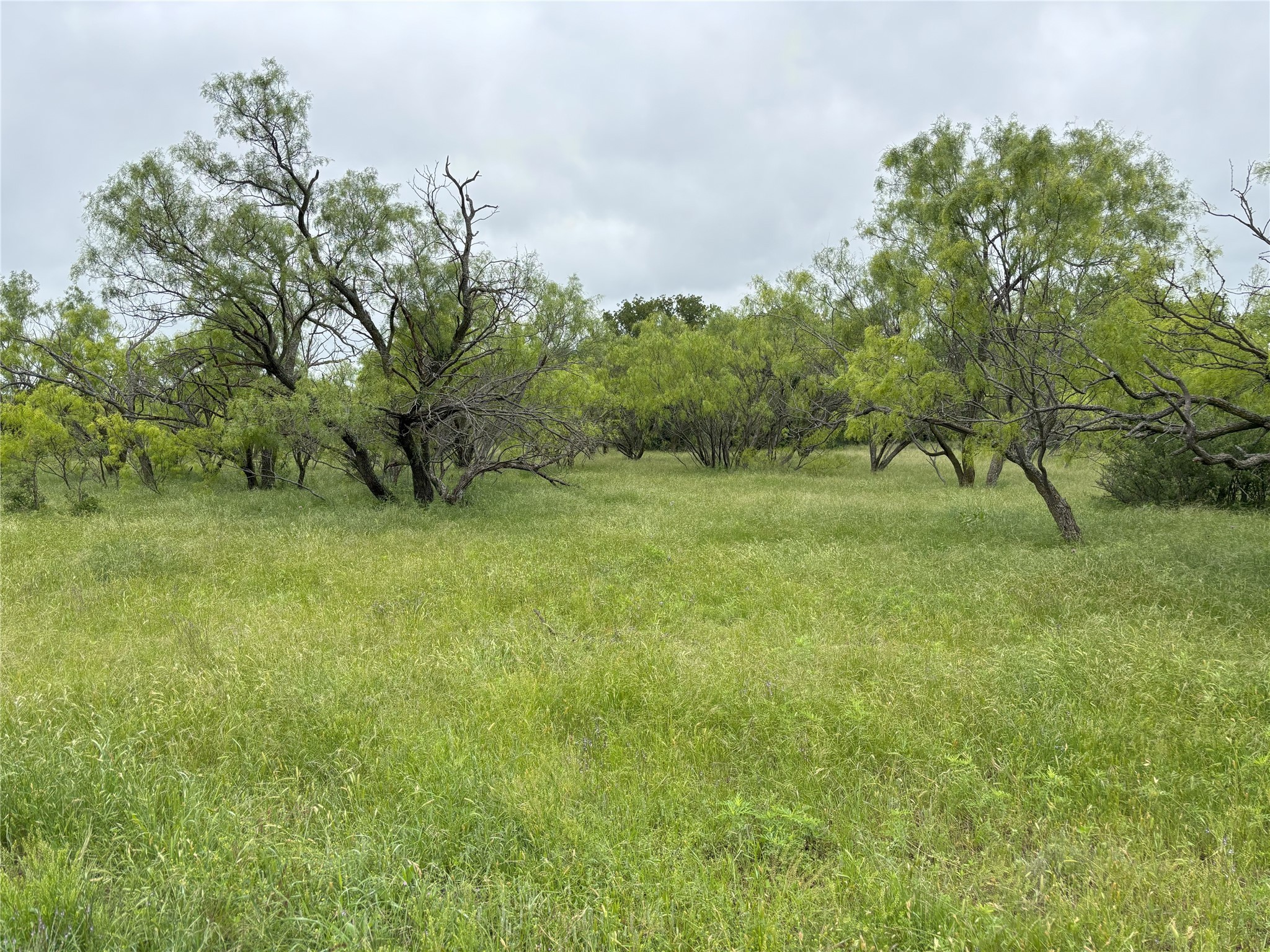 Tbd 0 Tract 1 Sunset Lane Jacksboro TX 76458
