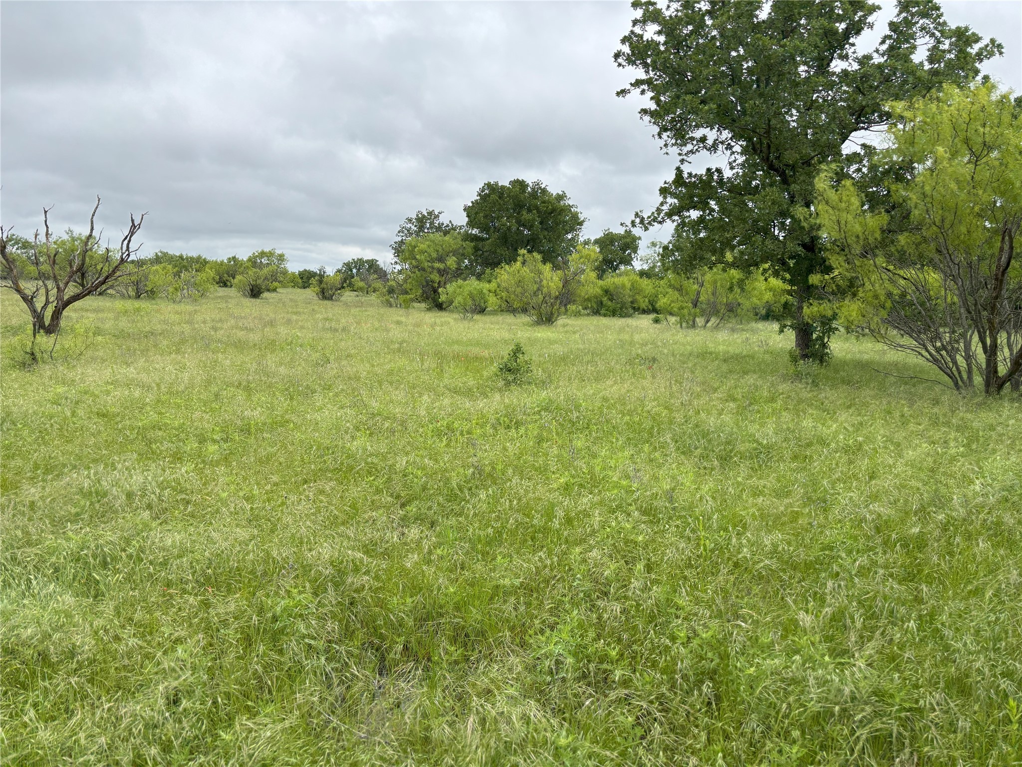 Tbd 0 Tract 1 Sunset Lane Jacksboro TX 76458