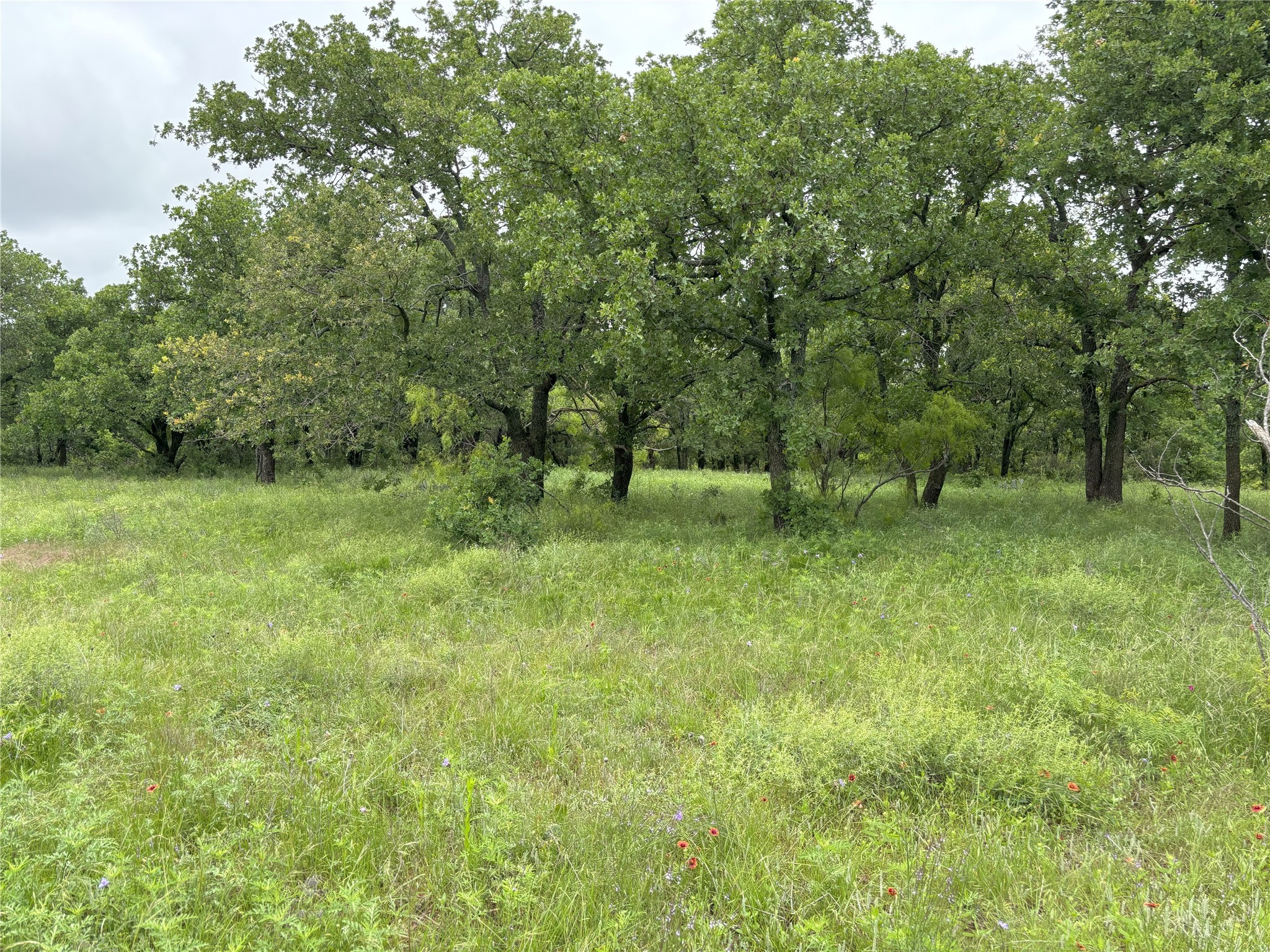 Tbd 0 Tract 1 Sunset Lane Jacksboro TX 76458