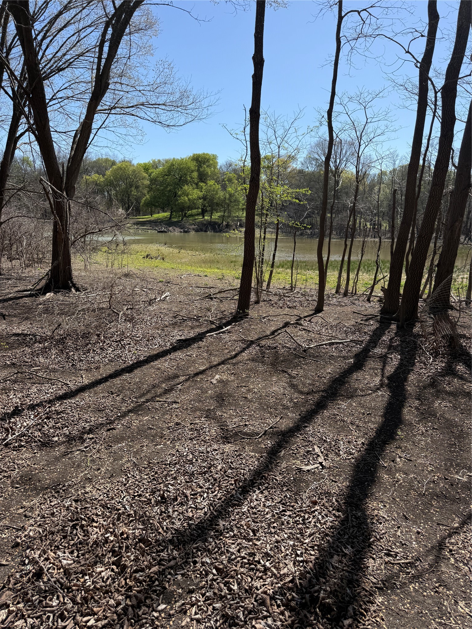 Tbd Pr 484 Hillsboro TX 76645