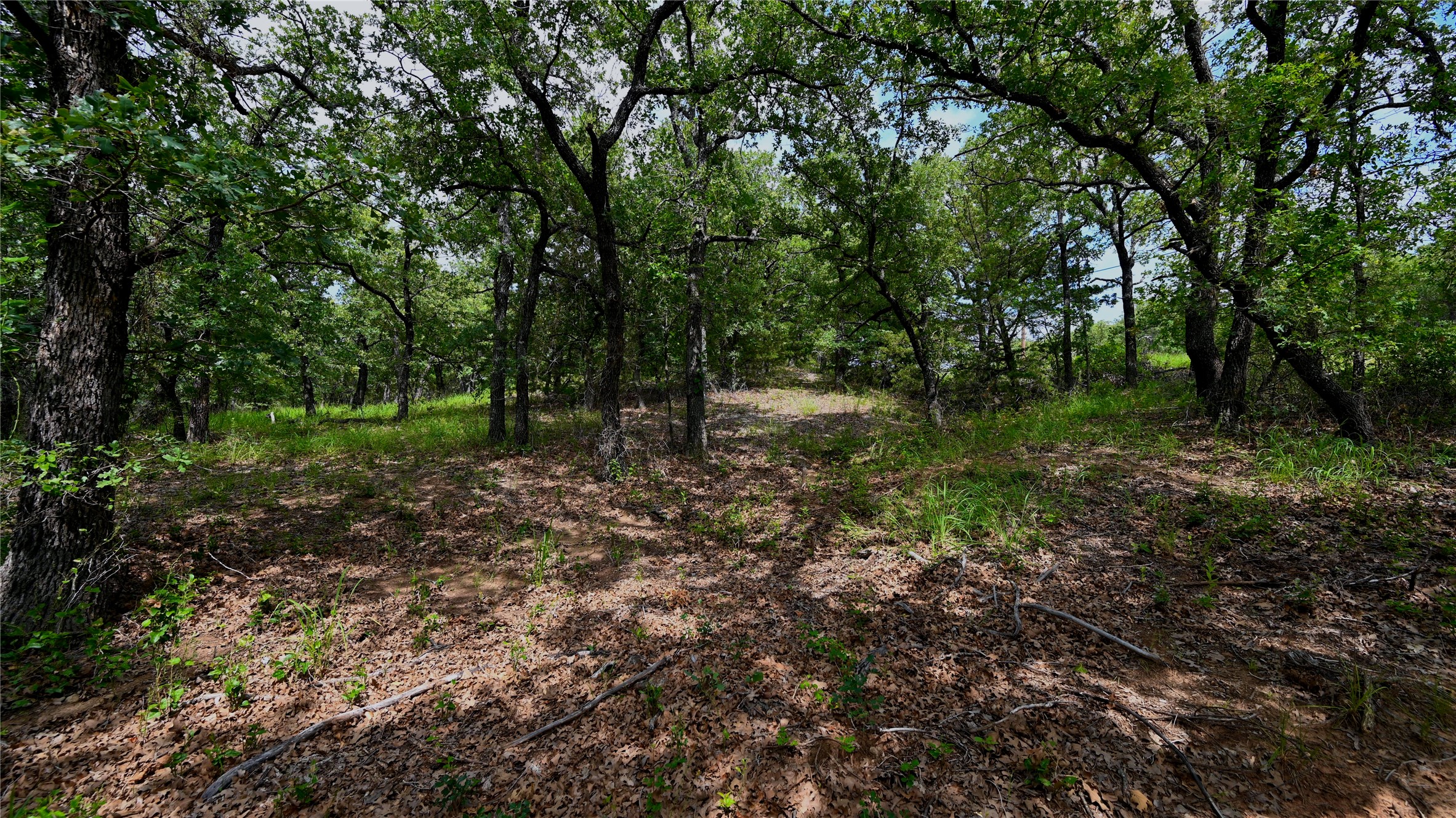 403 Nocona Drive Nocona TX 76255