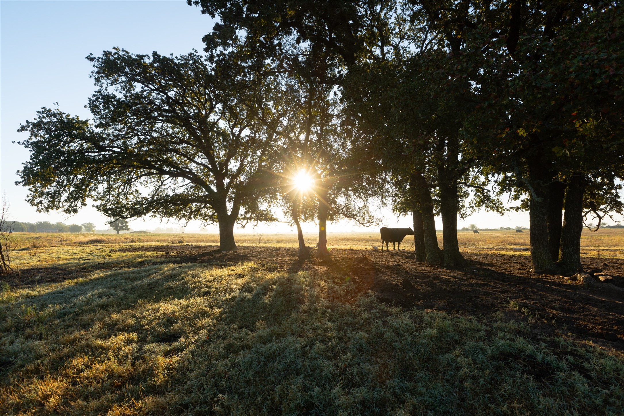 Tbd Brushy Road Granbury TX 76048