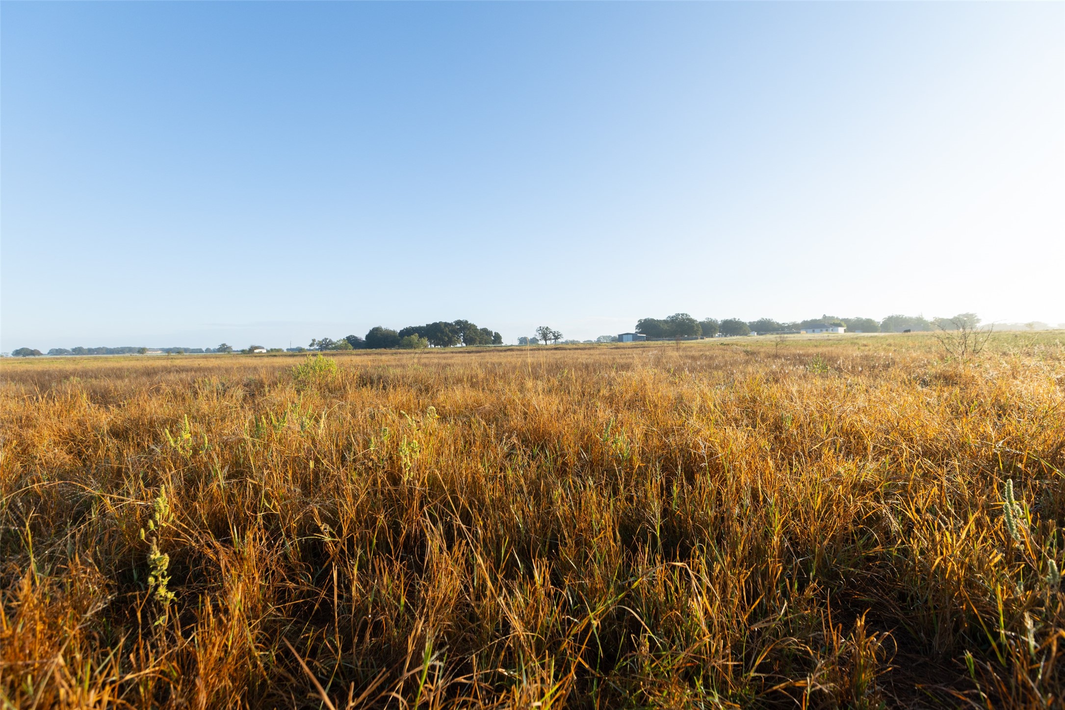 Tbd Brushy Road Granbury TX 76048