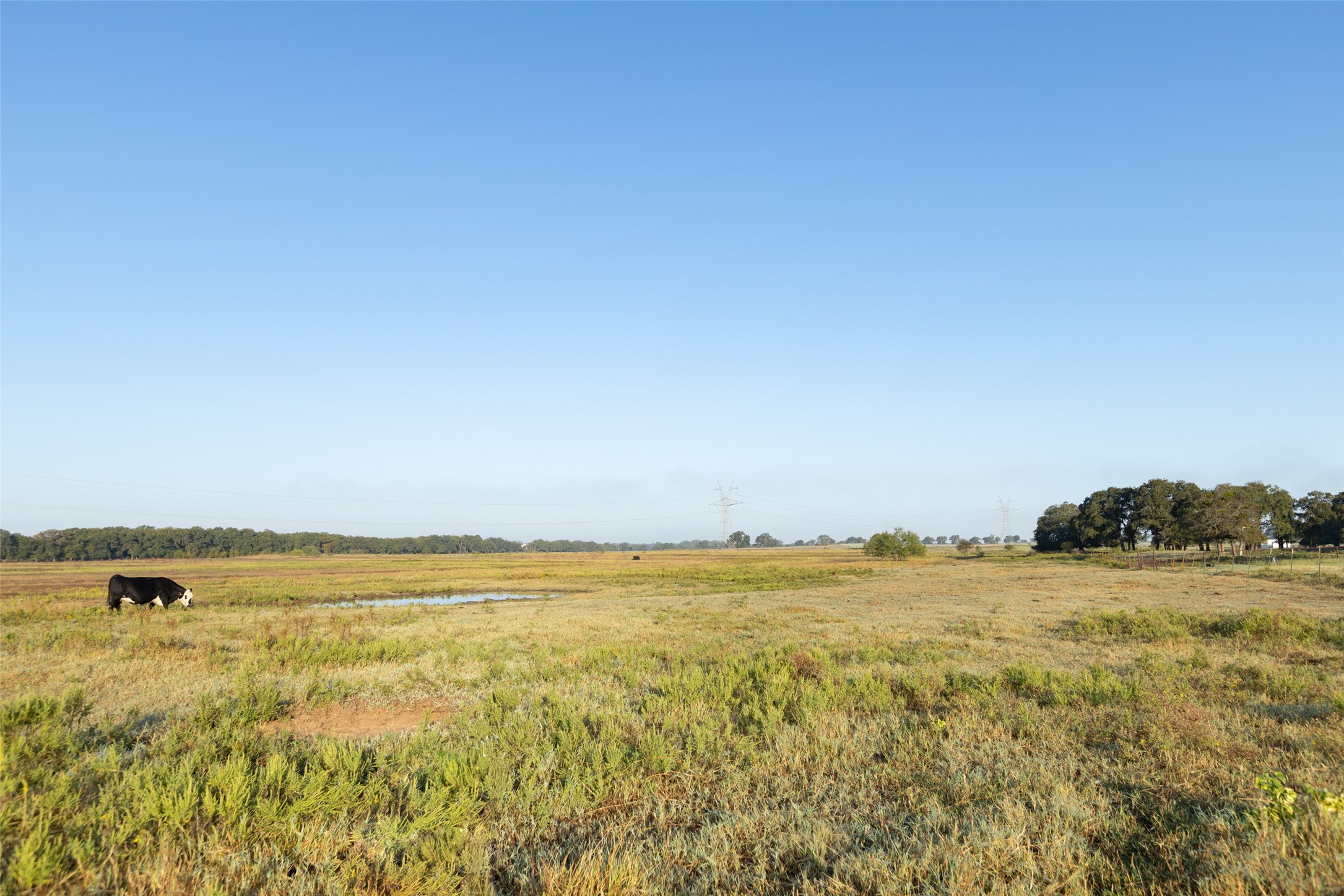 Tbd Brushy Road Granbury TX 76048