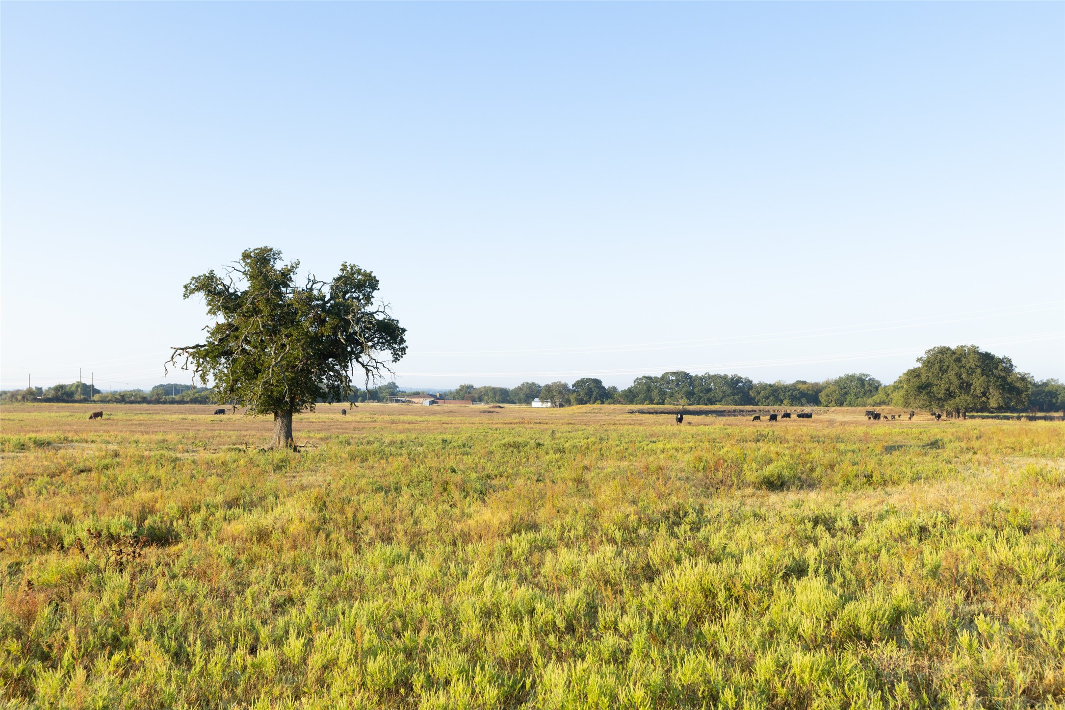 Tbd Brushy Road Granbury TX 76048