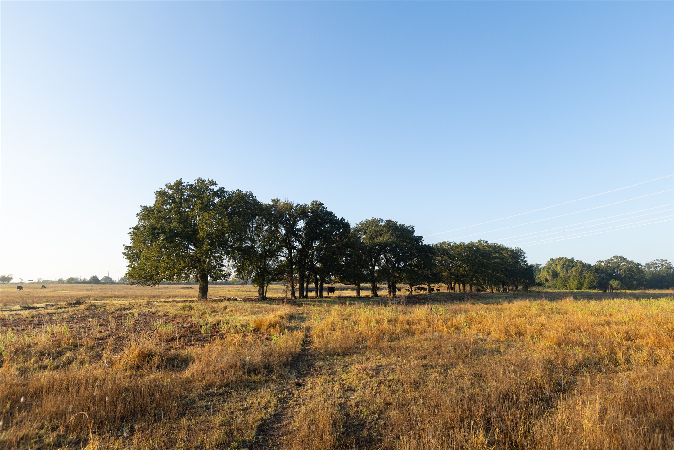 Tbd Brushy Road Granbury TX 76048