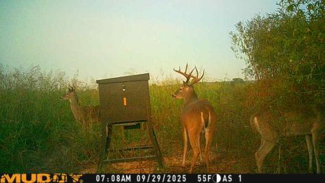220 County Road 3310 Valley Mills TX 76689