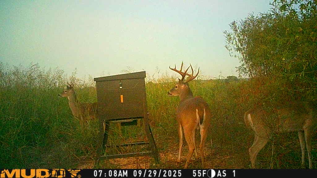 220 County Road 3310 Valley Mills TX 76689