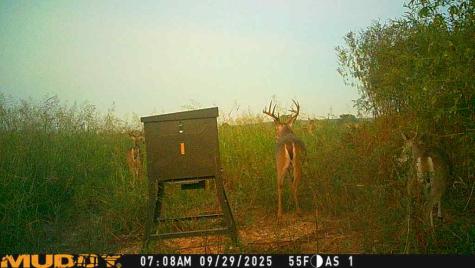 220 County Road 3310 Valley Mills TX 76689