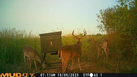 220 County Road 3310 Valley Mills TX 76689