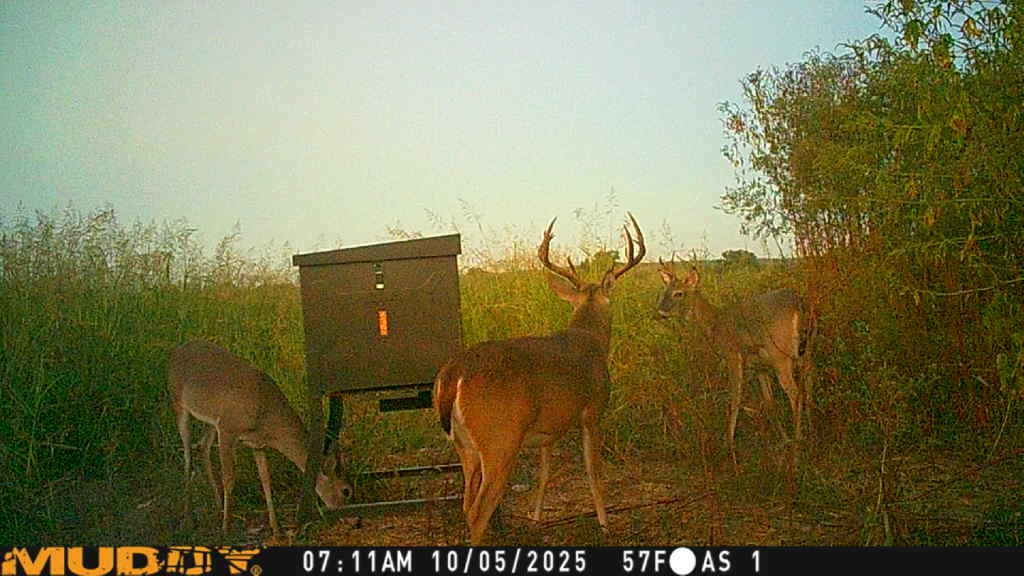 220 County Road 3310 Valley Mills TX 76689