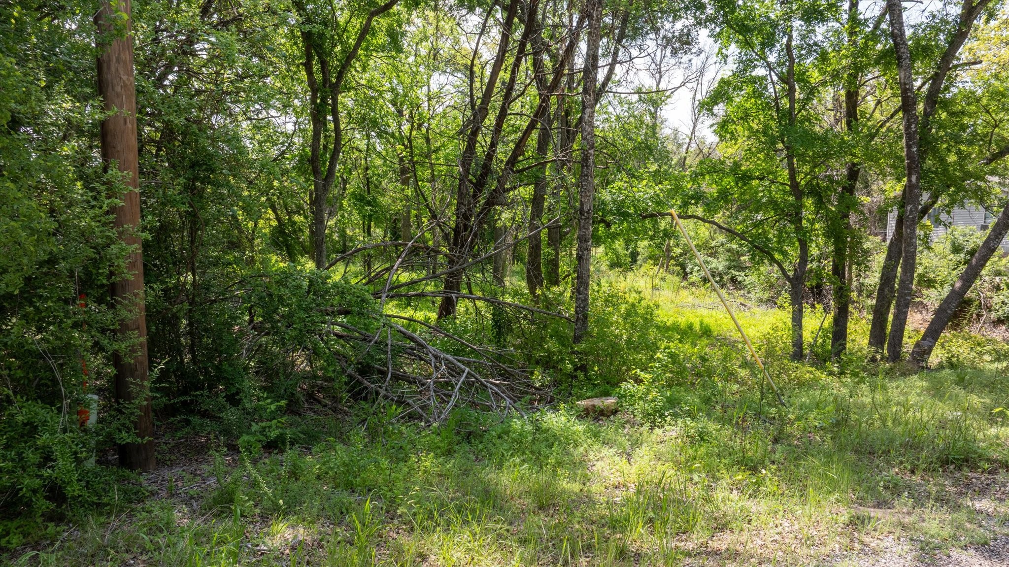 2923 Sycamore Court Granbury TX 76048