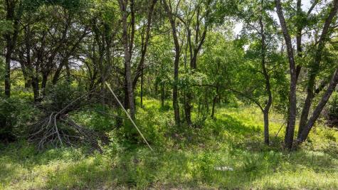 2923 Sycamore Court Granbury TX 76048