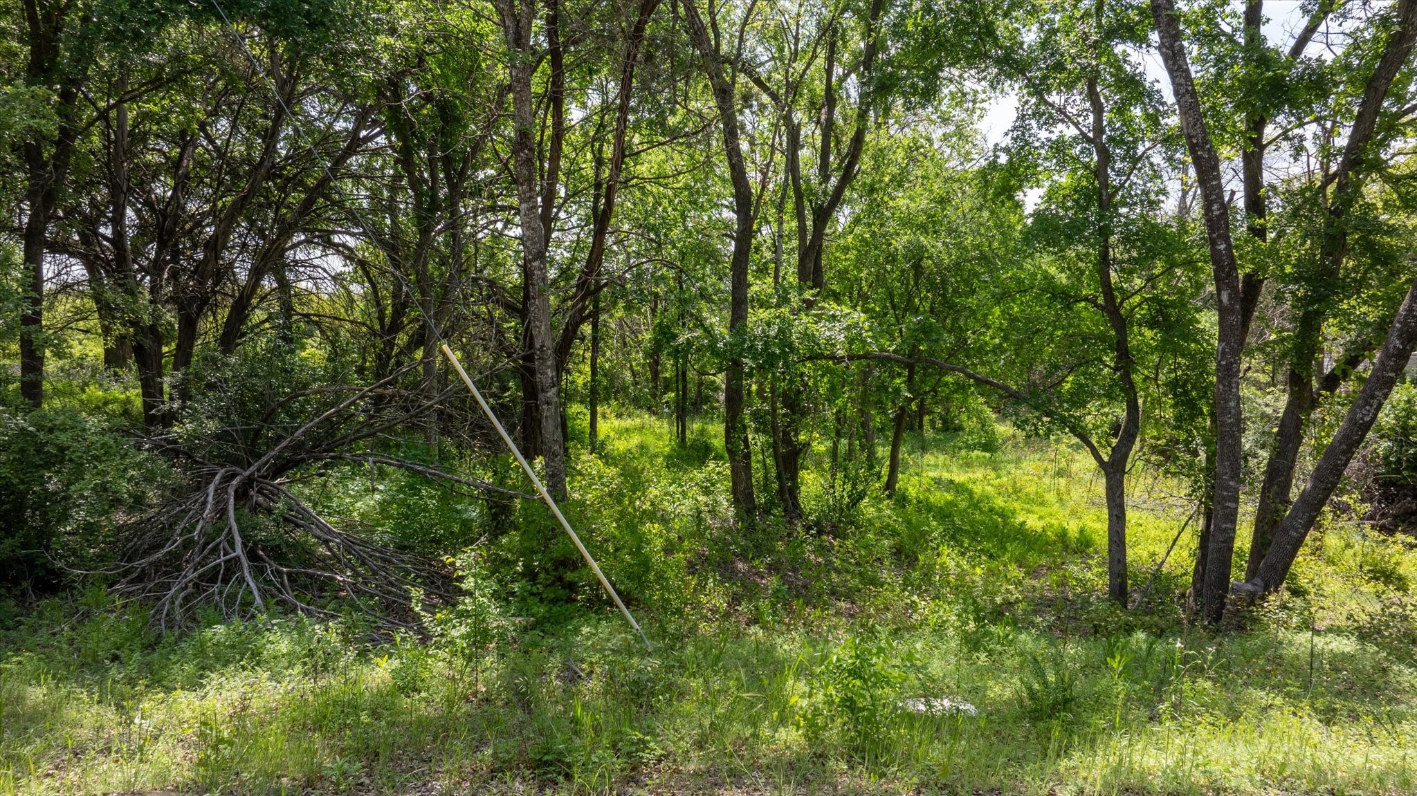 2923 Sycamore Court Granbury TX 76048