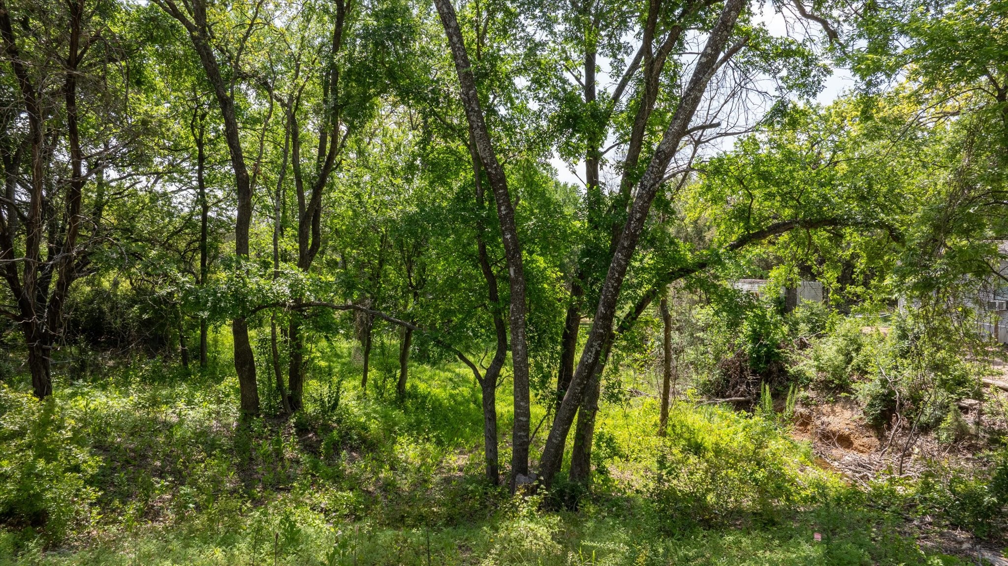 2923 Sycamore Court Granbury TX 76048