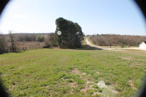 0 Lago Vista Drive Athens TX 75752
