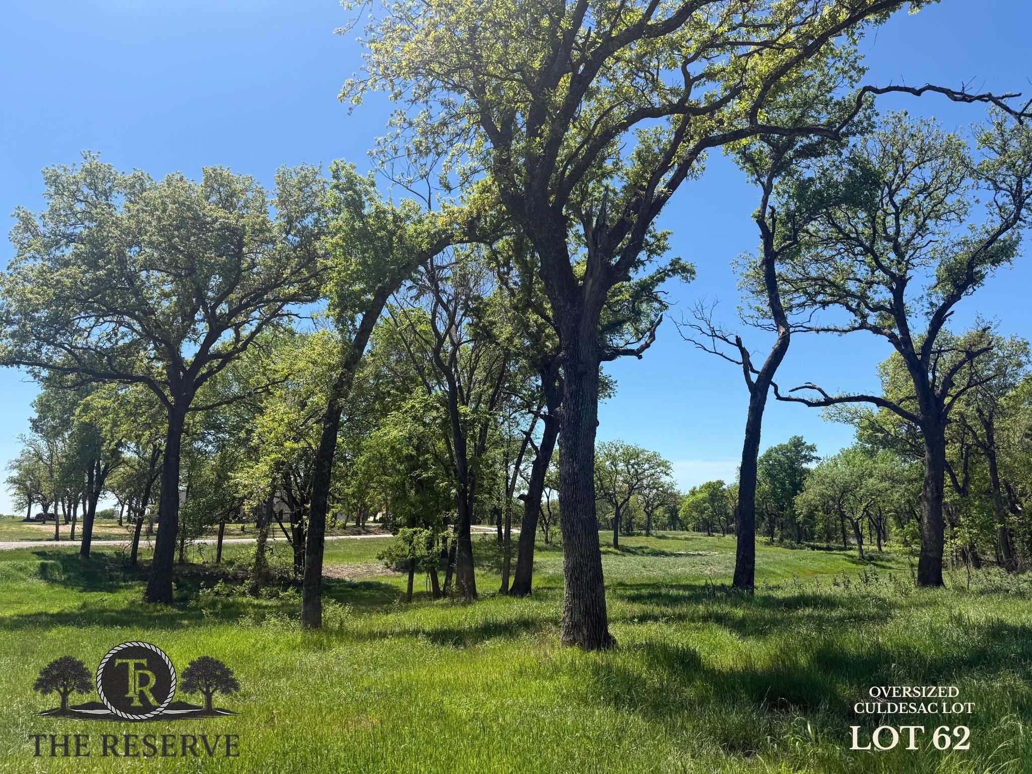 Lot 62 & 63 Camden Lane Springtown TX 76082