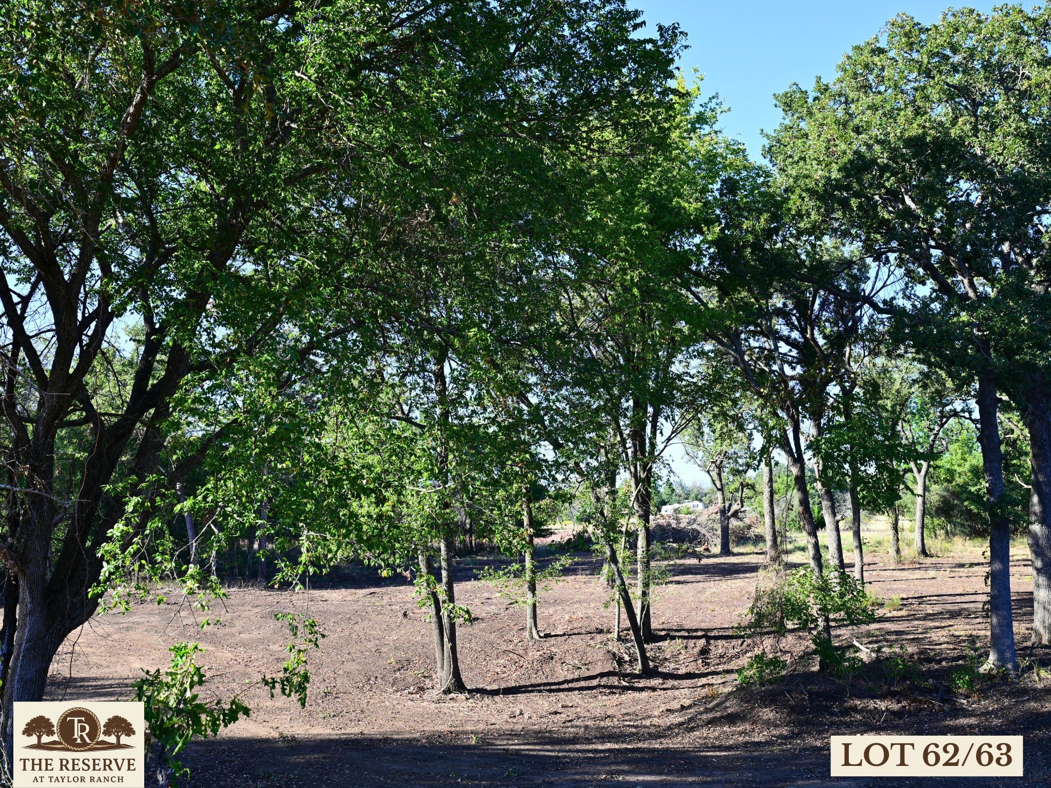 Lot 62 & 63 Camden Lane Springtown TX 76082