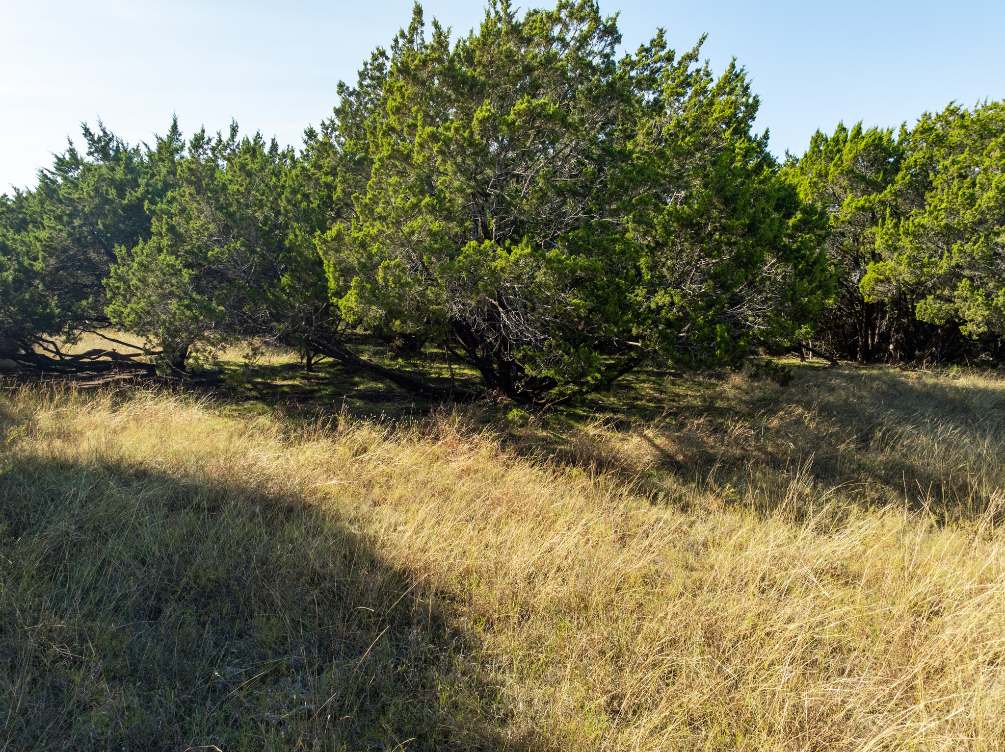 41052 Flagstone Circle Whitney TX 76692