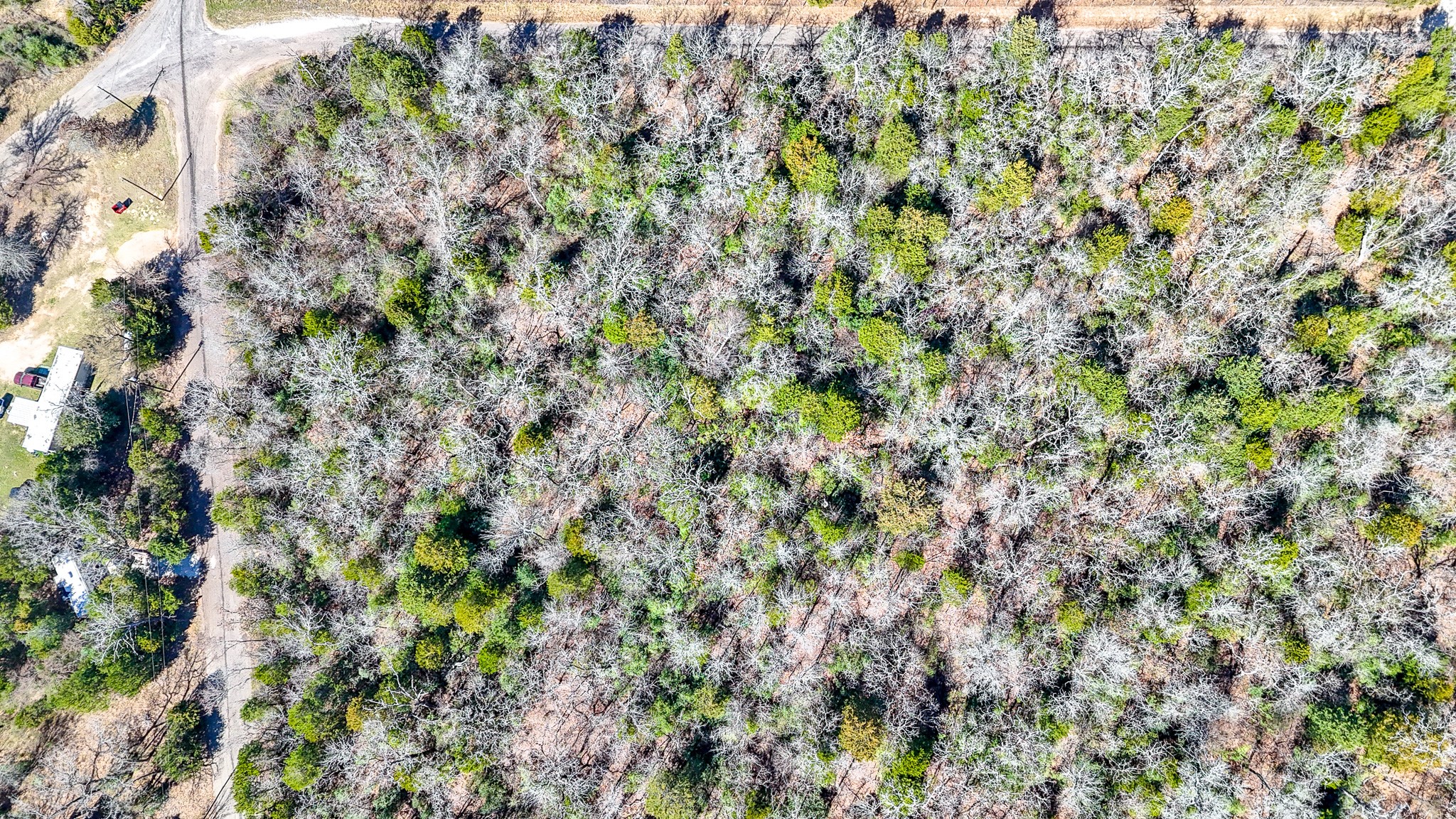 Tbd Lot 10 Fcr 540 Fairfield TX 75840