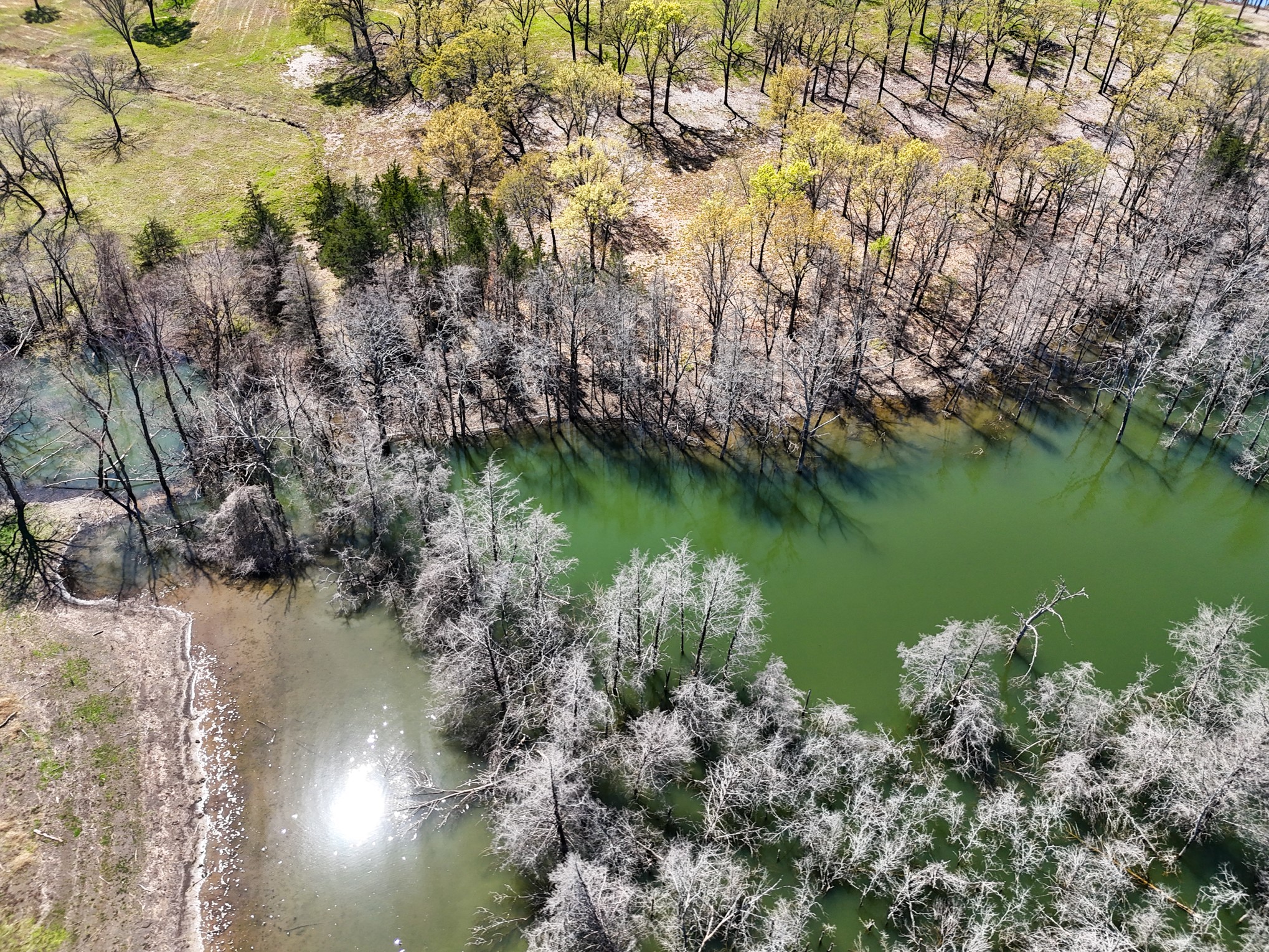 410 Peninsula Drive Honey Grove TX 75446