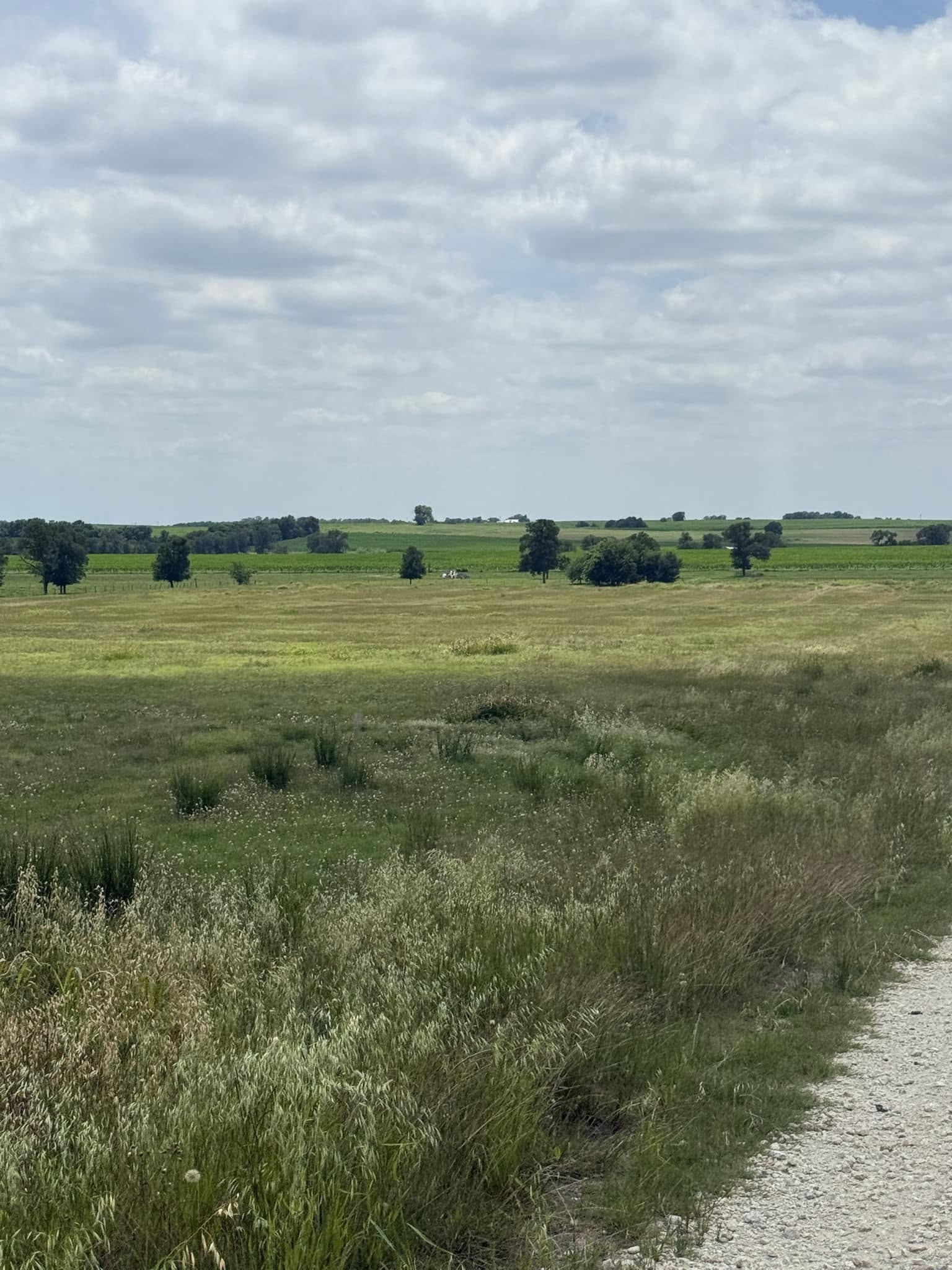 509 County Road 378 Lott TX 76656