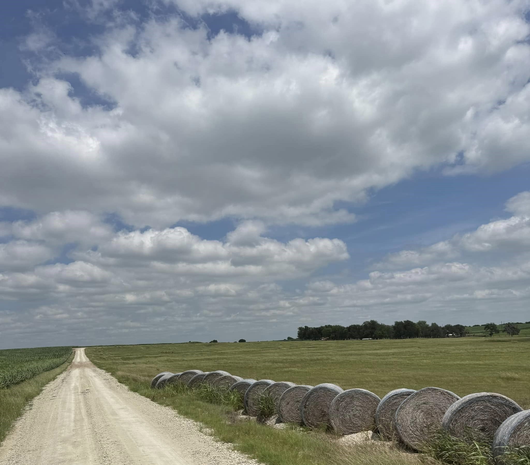 509 County Road 378 Lott TX 76656