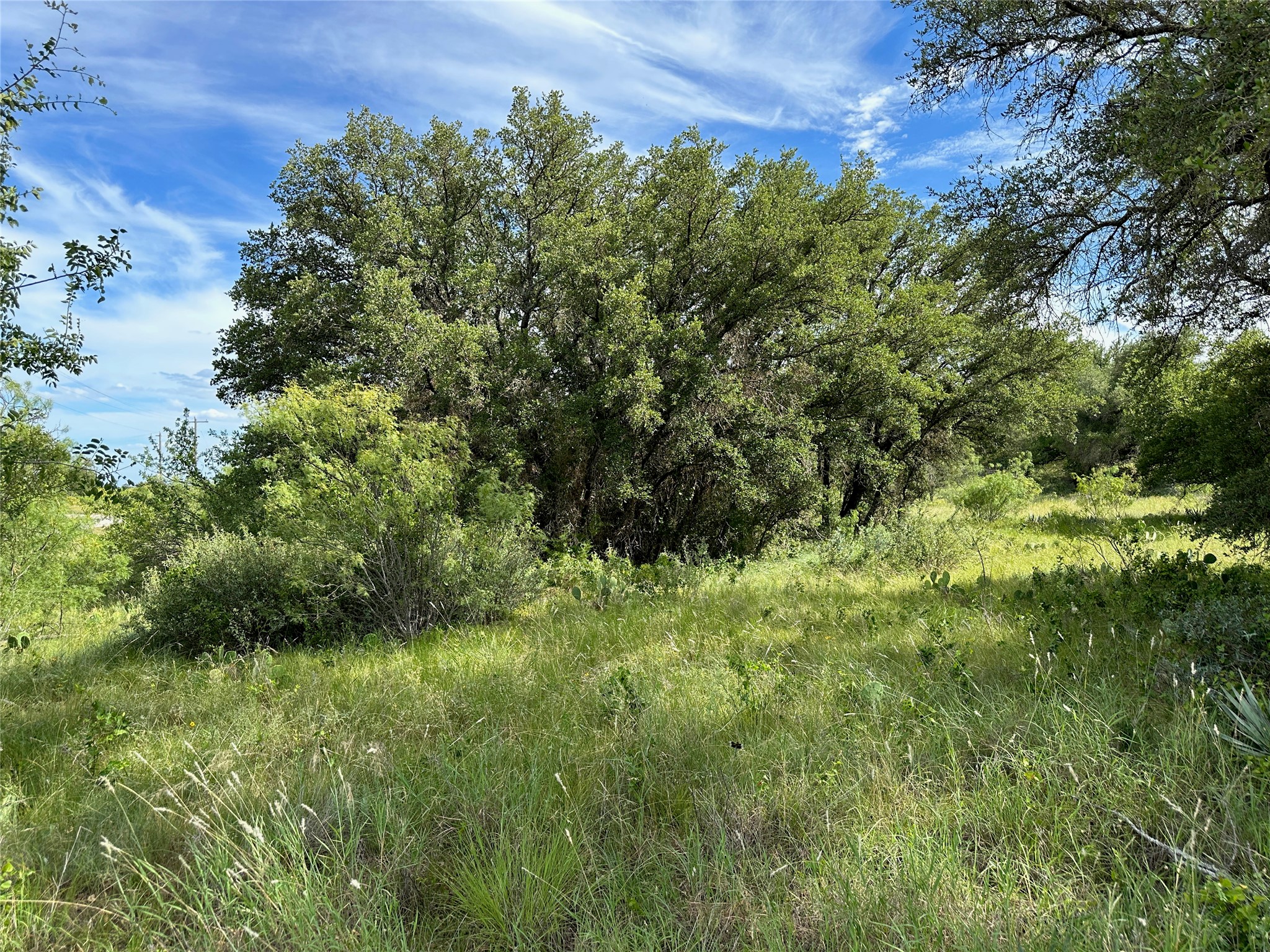 863 Pitchpole Circle Brownwood TX 76801