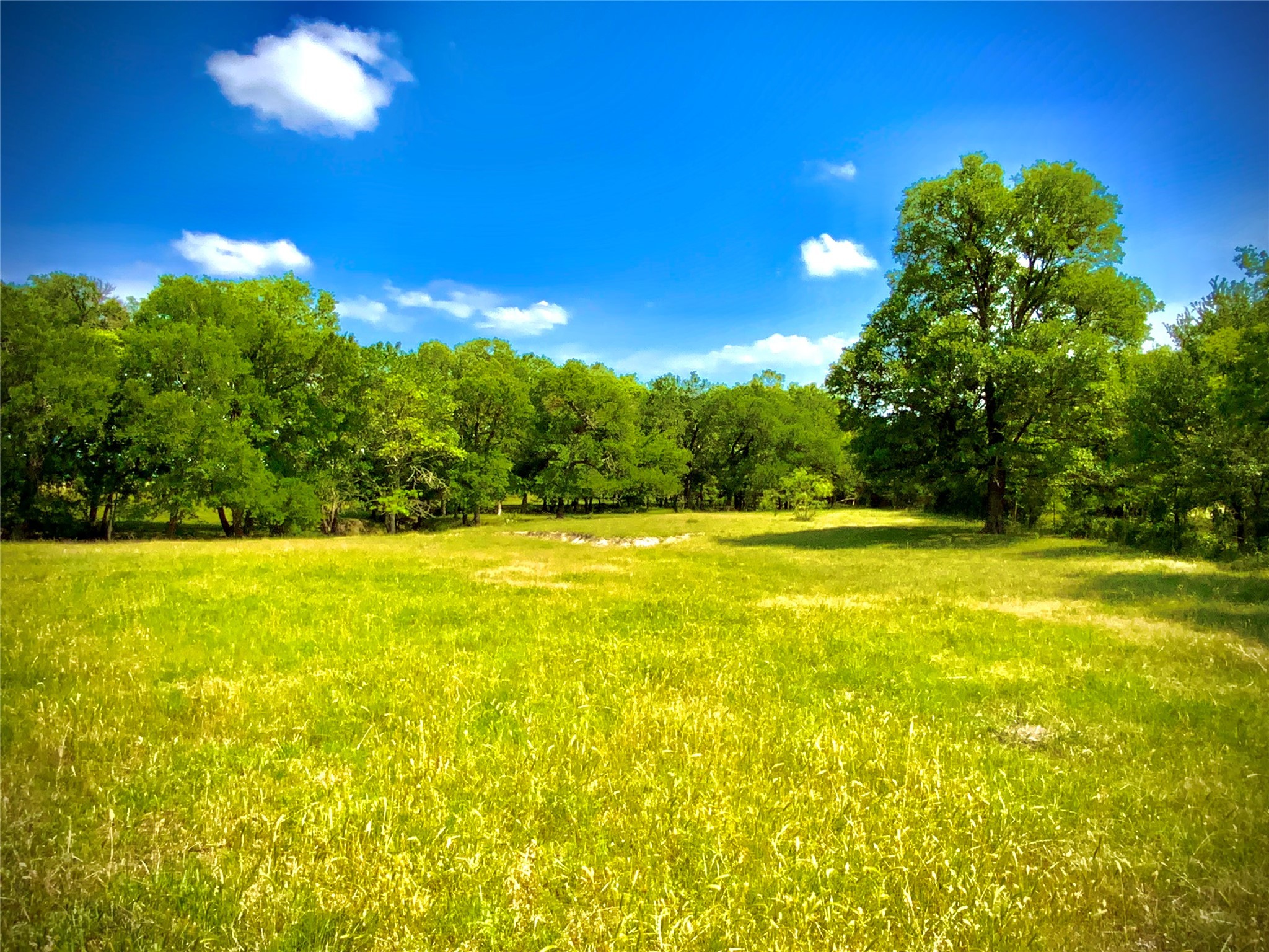 Tbd- Tract 1 Fm 147 Marlin TX 76661