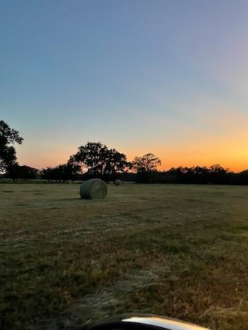 61.32 Acres County Road 3417 Emory TX 75472