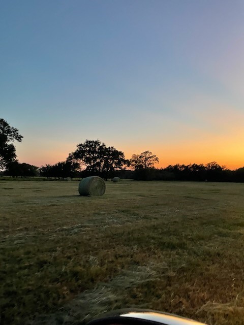 61.32 Acres County Road 3417 Emory TX 75472