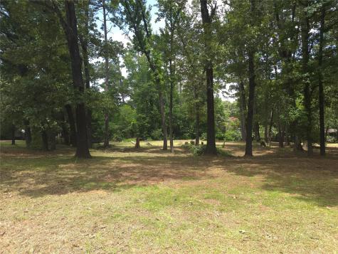208 Mountain View Drive Daingerfield TX 75638