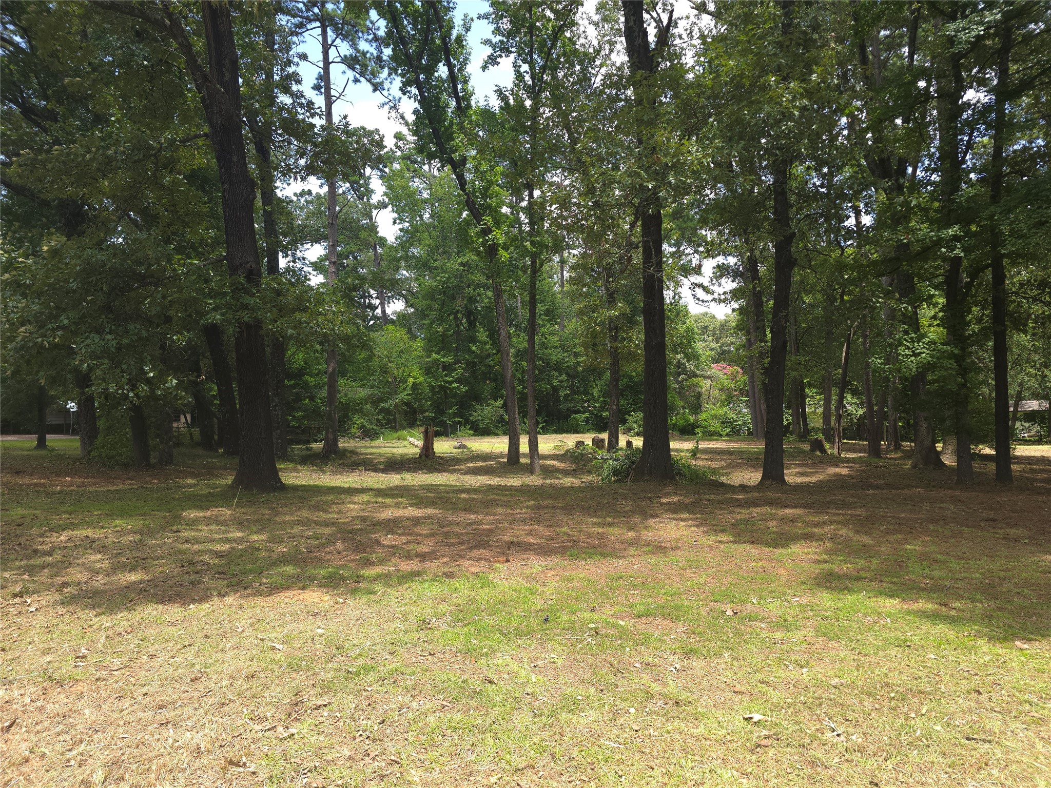 208 Mountain View Drive Daingerfield TX 75638