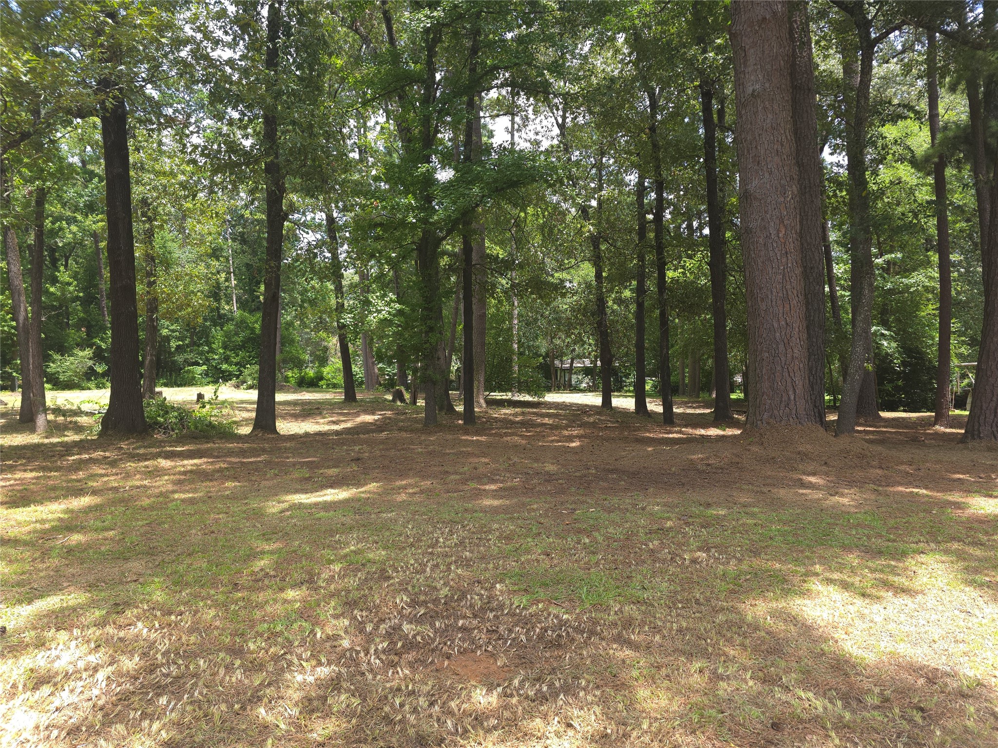 208 Mountain View Drive Daingerfield TX 75638