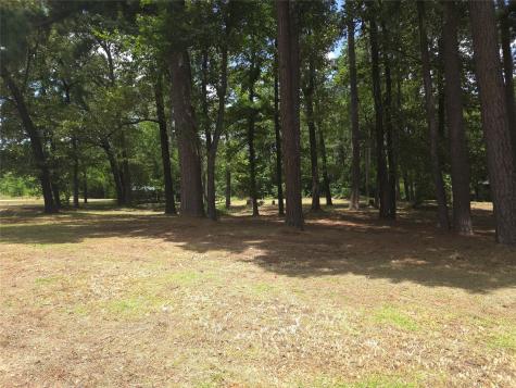 208 Mountain View Drive Daingerfield TX 75638