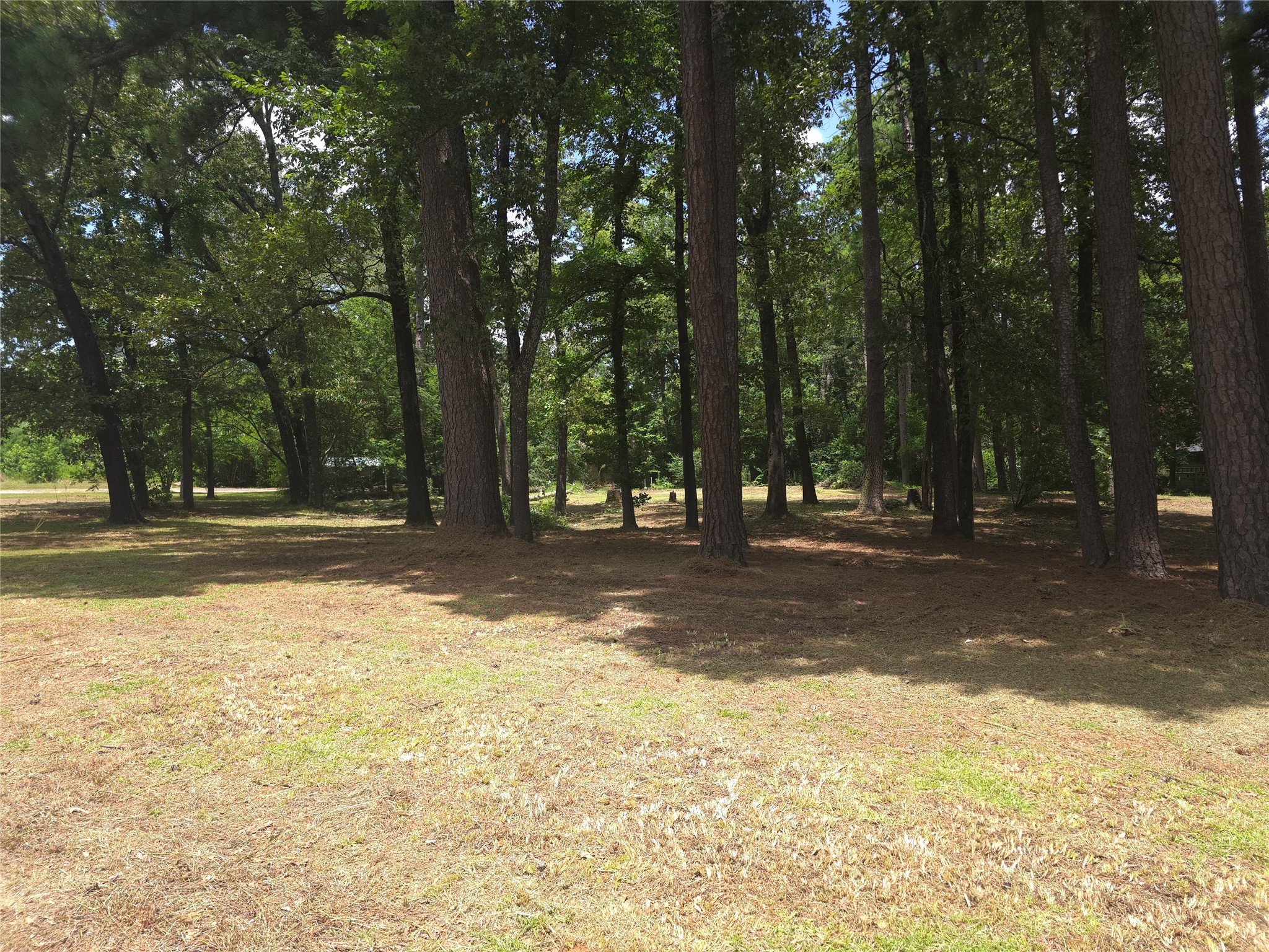 208 Mountain View Drive Daingerfield TX 75638