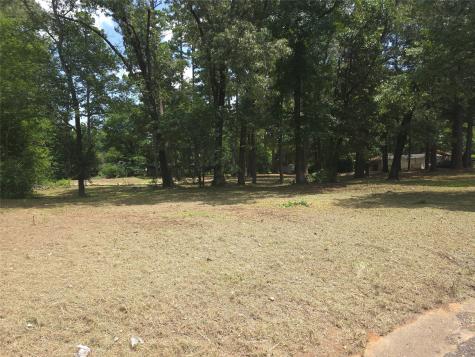 208 Mountain View Drive Daingerfield TX 75638