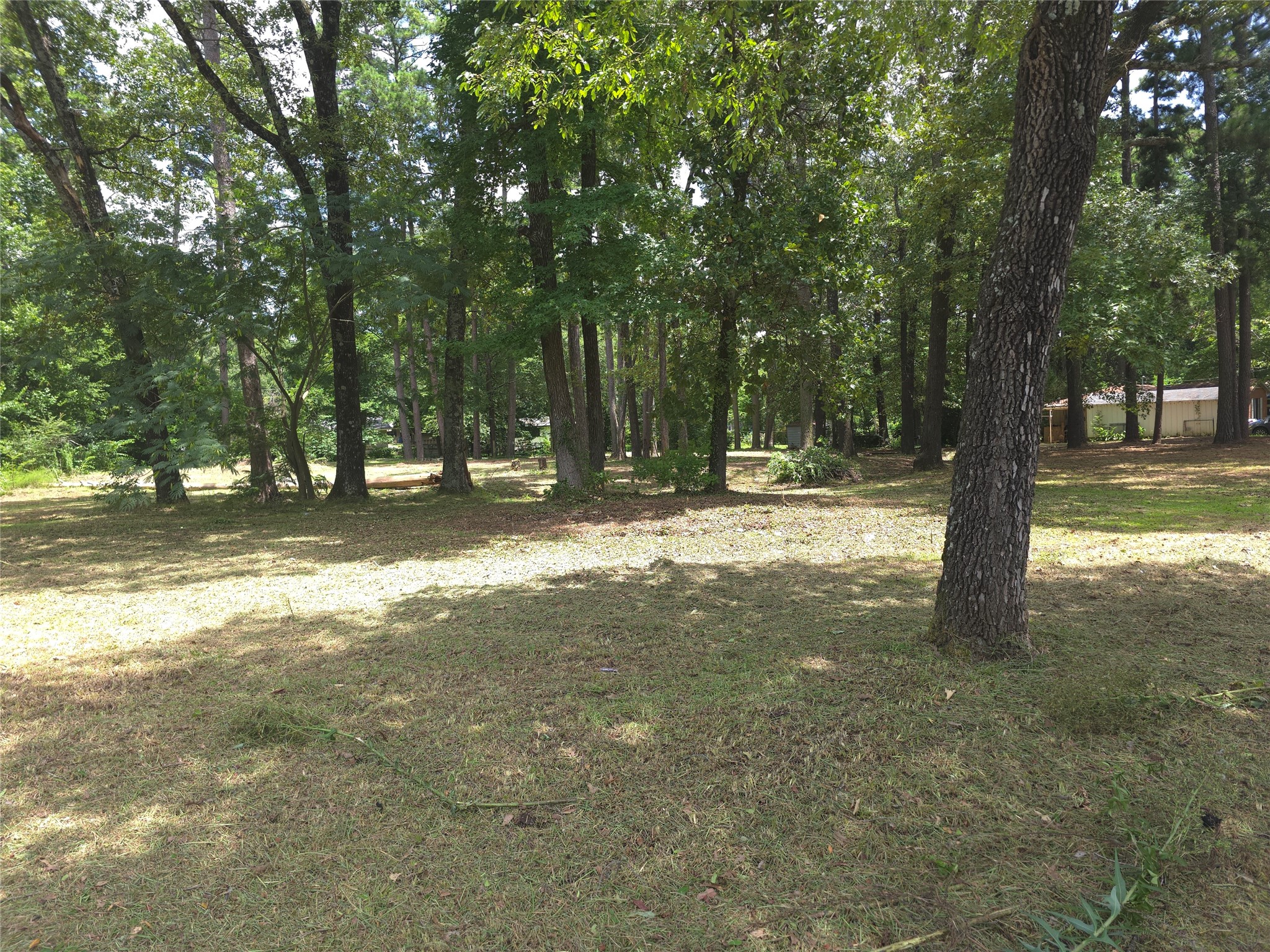208 Mountain View Drive Daingerfield TX 75638