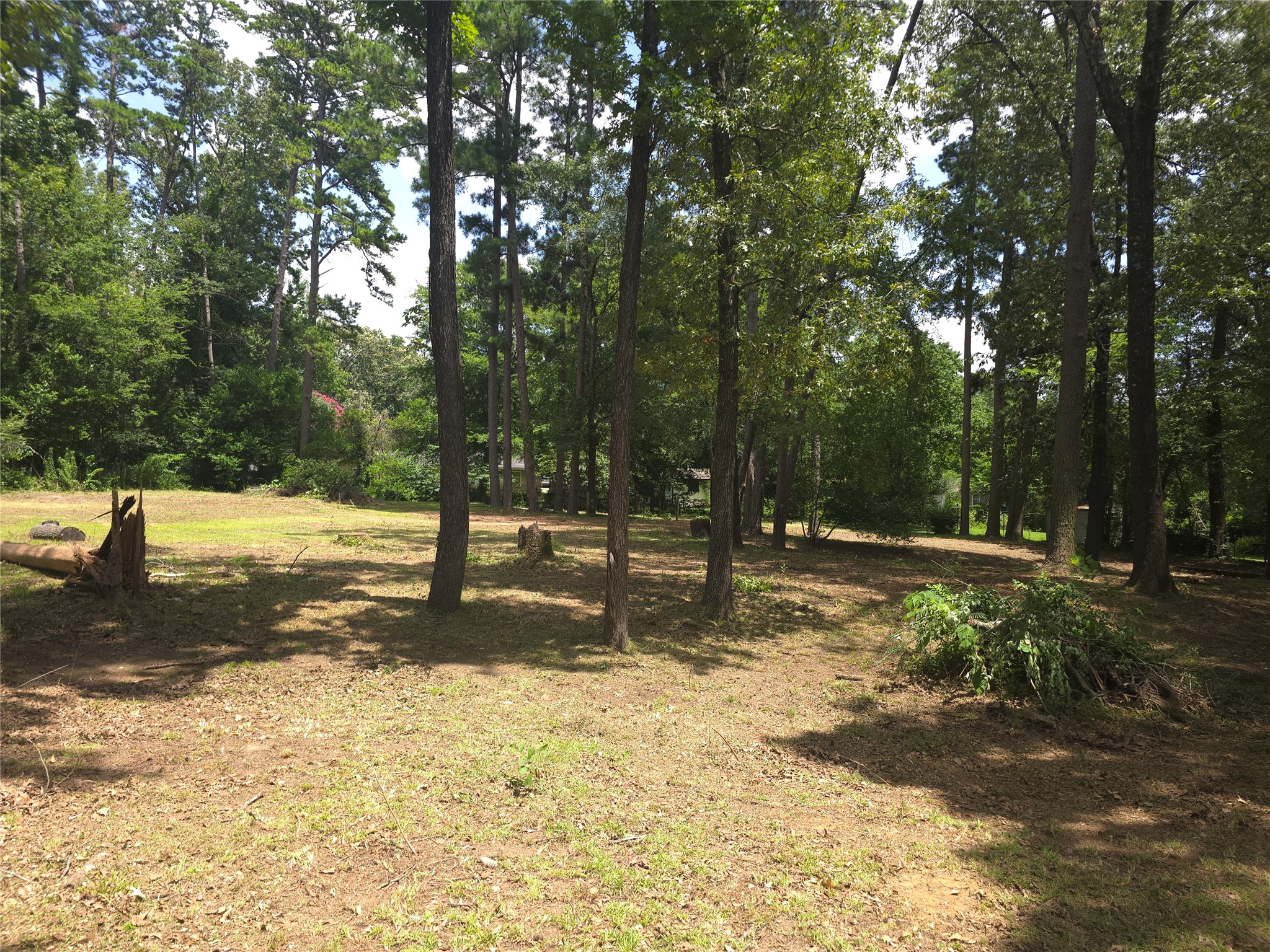 208 Mountain View Drive Daingerfield TX 75638