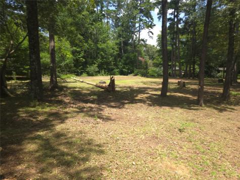 208 Mountain View Drive Daingerfield TX 75638