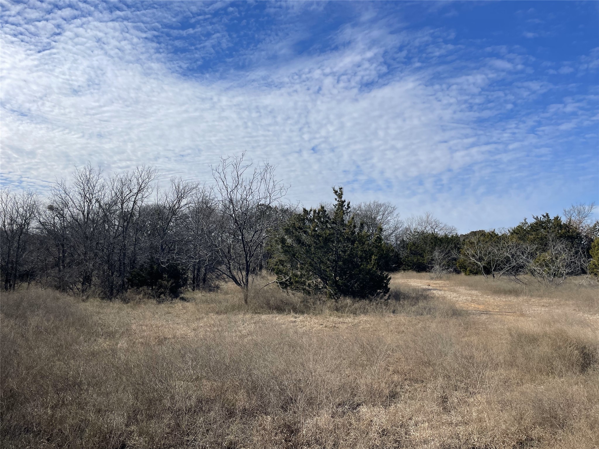 130 New Hope Lane Palo Pinto TX 76484