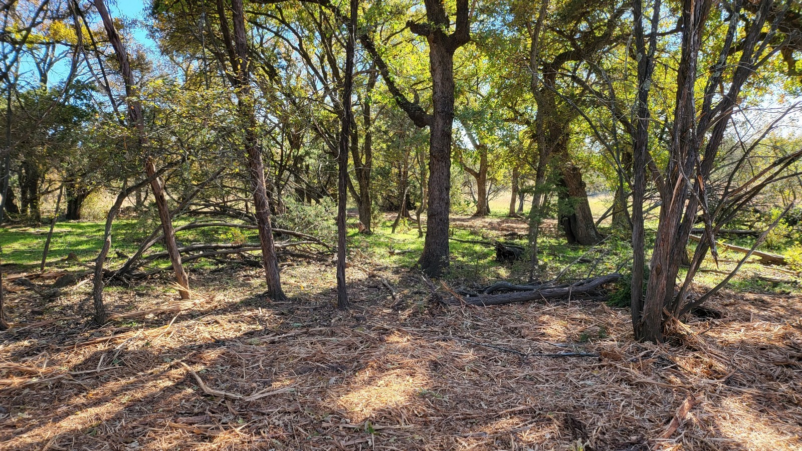 130 New Hope Lane Palo Pinto TX 76484