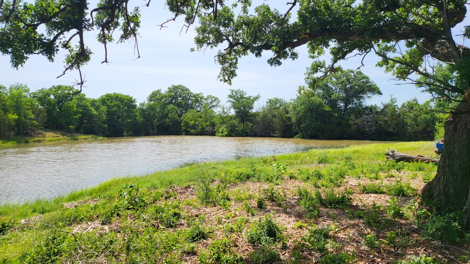 130 New Hope Lane Palo Pinto TX 76484