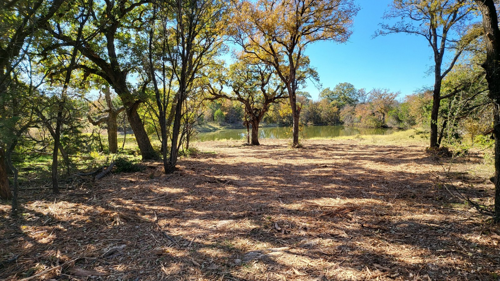 130 New Hope Lane Palo Pinto TX 76484